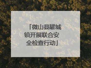 微山县驩城镇开展联合安全检查行动