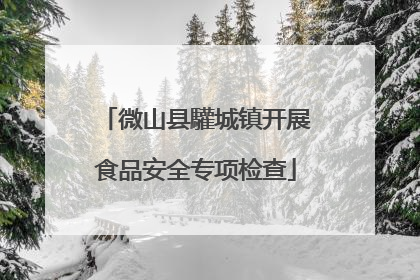 微山县驩城镇开展食品安全专项检查