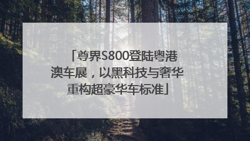 尊界S800登陆粤港澳车展，以黑科技与奢华重构超豪华车标准