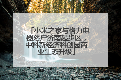 小米之家与格力电器落户济南起步区，中科新经济科创园商业生态升级