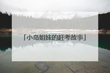 小岛姐妹的赶考故事