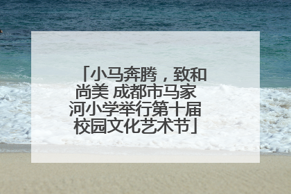 小马奔腾，致和尚美 成都市马家河小学举行第十届校园文化艺术节