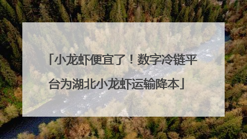 小龙虾便宜了！数字冷链平台为湖北小龙虾运输降本