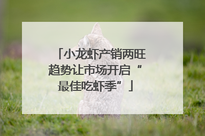 小龙虾产销两旺趋势让市场开启“最佳吃虾季”