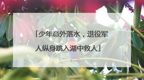 少年意外落水，退役军人纵身跳入湖中救人