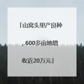 山窝头里产良种，600多亩地增收近20万元