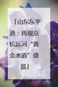 山东东平港：再现京杭运河“黄金水道”盛景