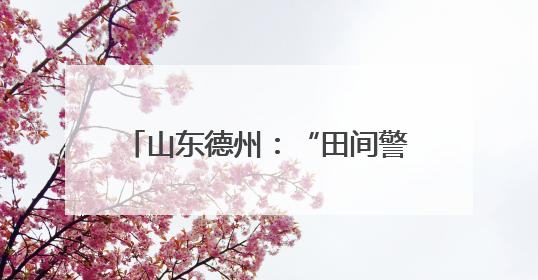 山东德州：“田间警务”为丰收保驾护航