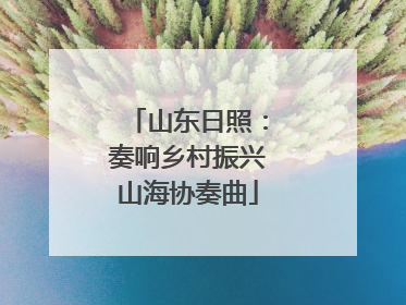 山东日照：奏响乡村振兴山海协奏曲