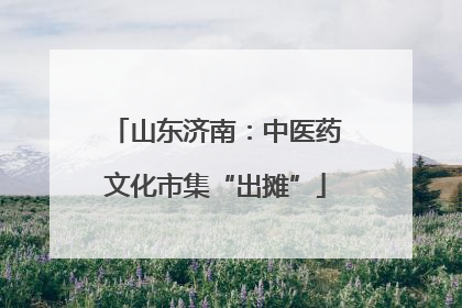 山东济南：中医药文化市集“出摊”