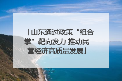 山东通过政策“组合拳”靶向发力 推动民营经济高质量发展