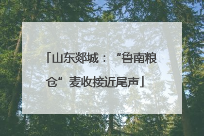 山东郯城：“鲁南粮仓”麦收接近尾声
