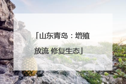 山东青岛：增殖放流 修复生态