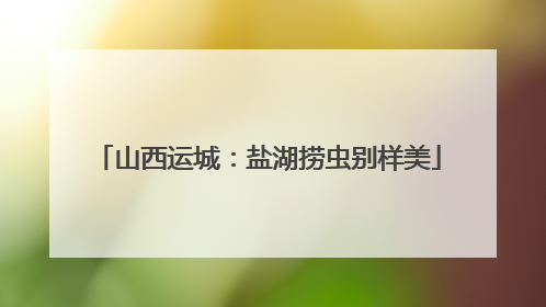 山西运城：盐湖捞虫别样美