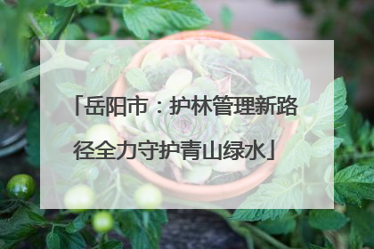 岳阳市：护林管理新路径全力守护青山绿水