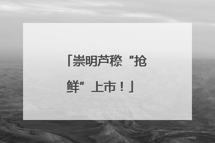 崇明芦穄“抢鲜”上市！