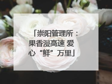 崇阳管理所：果香漫高速 爱心“鲜”万里