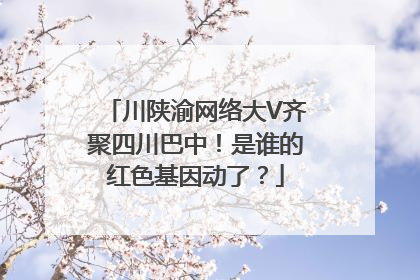 川陕渝网络大V齐聚四川巴中！是谁的红色基因动了？
