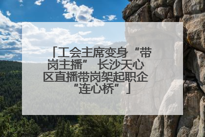 工会主席变身“带岗主播” 长沙天心区直播带岗架起职企“连心桥”