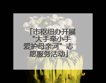 市枢纽办开展“大手牵小手 爱护母亲河”志愿服务活动