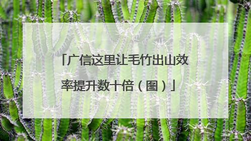 广信这里让毛竹出山效率提升数十倍（图）