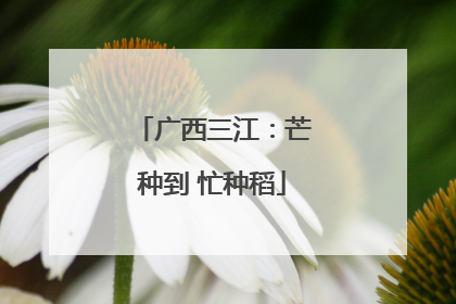 广西三江：芒种到 忙种稻