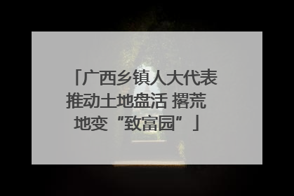 广西乡镇人大代表推动土地盘活 撂荒地变“致富园”