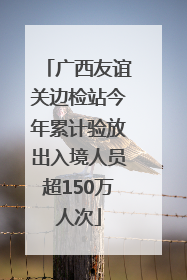 广西友谊关边检站今年累计验放出入境人员超150万人次