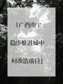 广西南宁：稳步推进城中村改造项目