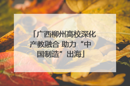 广西柳州高校深化产教融合 助力“中国制造”出海