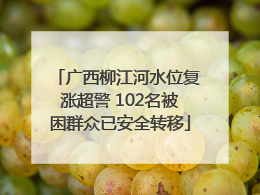 广西柳江河水位复涨超警 102名被困群众已安全转移