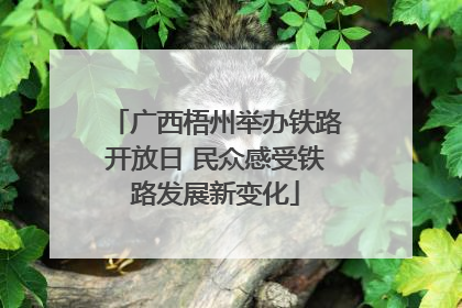 广西梧州举办铁路开放日 民众感受铁路发展新变化