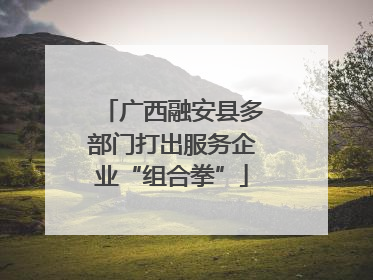 广西融安县多部门打出服务企业“组合拳”