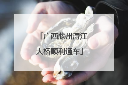 广西藤州浔江大桥顺利通车