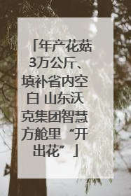 年产花菇3万公斤、填补省内空白 山东沃克集团智慧方舱里“开出花”