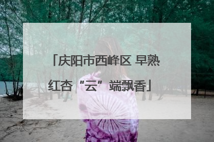 庆阳市西峰区 早熟红杏“云”端飘香