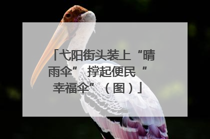 弋阳街头装上“晴雨伞” 撑起便民“幸福伞”（图）