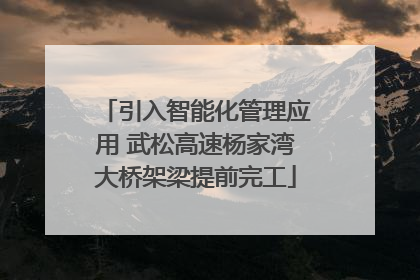 引入智能化管理应用 武松高速杨家湾大桥架梁提前完工