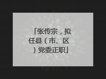 张传宗，拟任县（市、区）党委正职