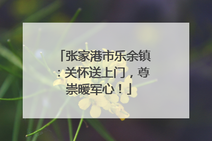张家港市乐余镇：关怀送上门，尊崇暖军心！