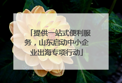 提供一站式便利服务，山东启动中小企业出海专项行动