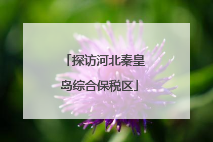 探访河北秦皇岛综合保税区
