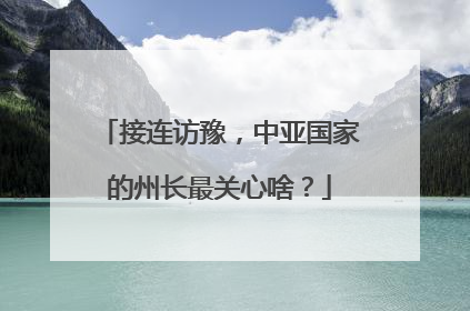 接连访豫，中亚国家的州长最关心啥？