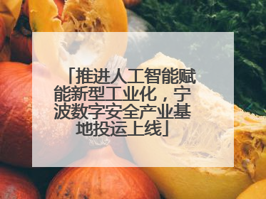 推进人工智能赋能新型工业化，宁波数字安全产业基地投运上线