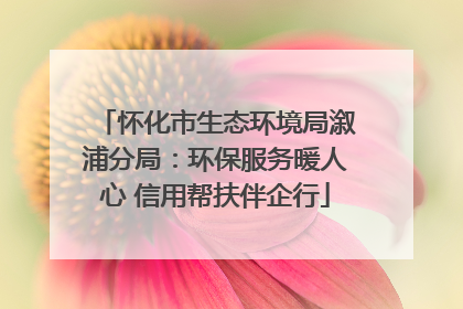 怀化市生态环境局溆浦分局：环保服务暖人心 信用帮扶伴企行