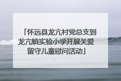 怀远县龙亢村党总支到龙亢镇实验小学开展关爱留守儿童慰问活动