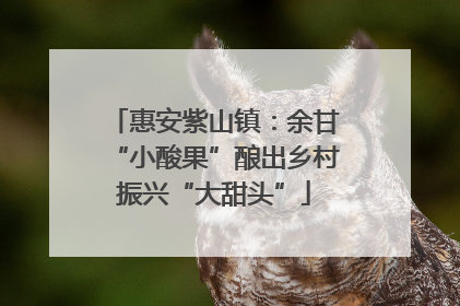 惠安紫山镇：余甘“小酸果”酿出乡村振兴“大甜头”