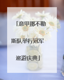 意甲那不勒斯队举行冠军巡游庆典