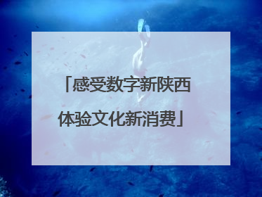 感受数字新陕西 体验文化新消费