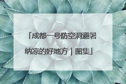 成都一号防空洞避暑纳凉的好地方｜图集